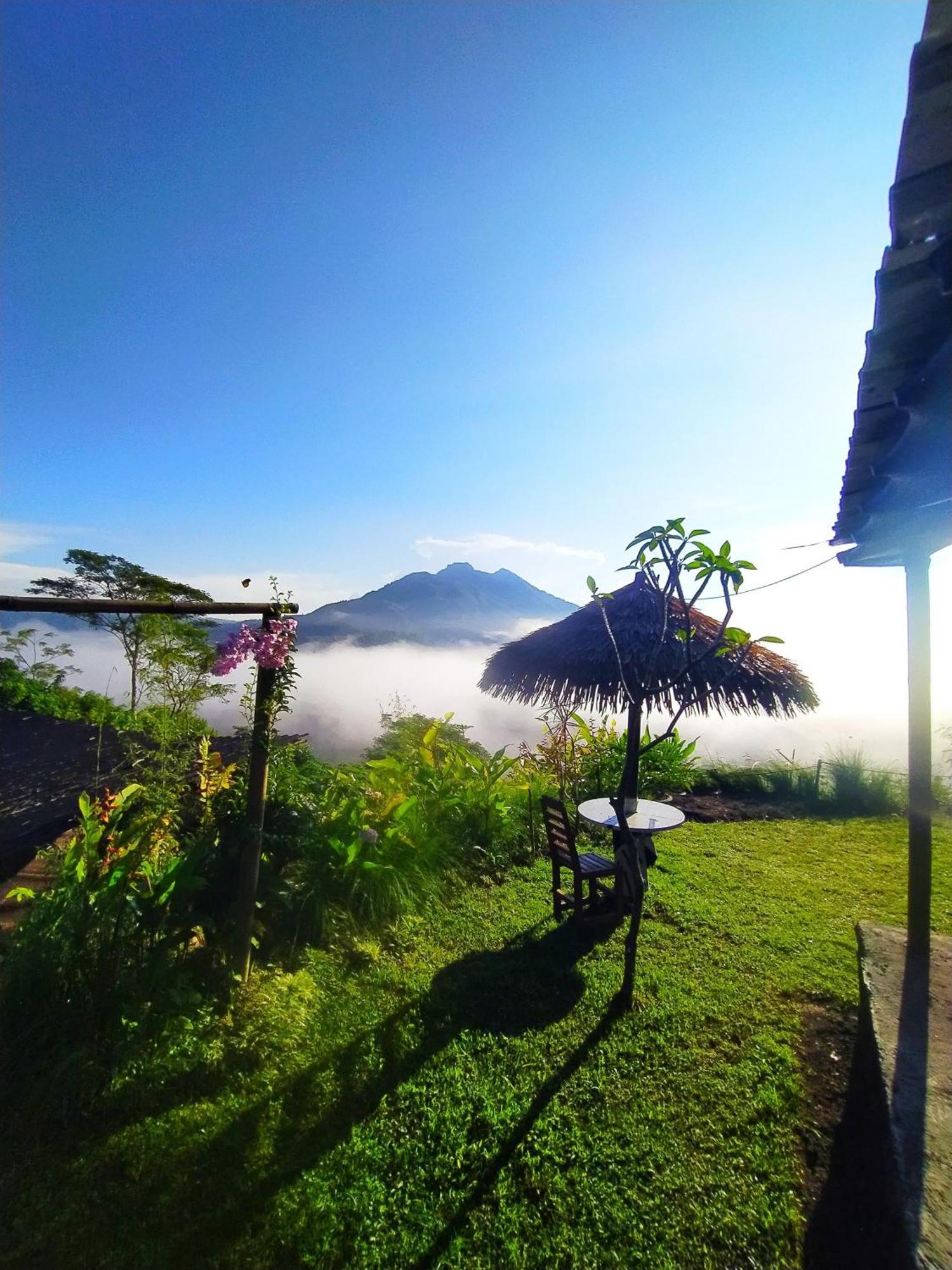 Kintamani Adventures 'Hide In Nature Lodge' Exterior foto